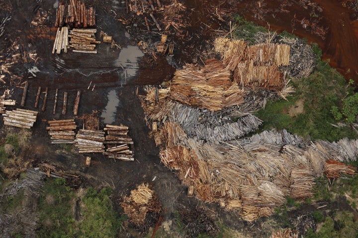 Sawmills that process illegally logged trees from the Amazon rainforest.