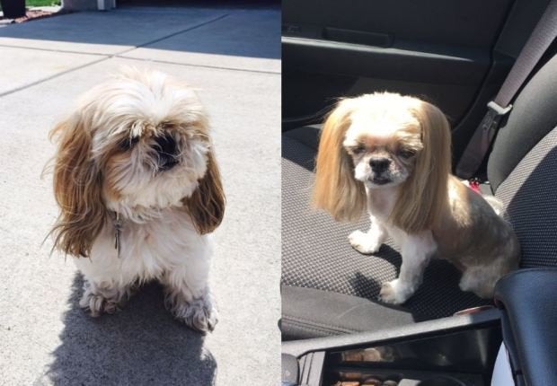 <strong>Before (left) and after (right).</strong>