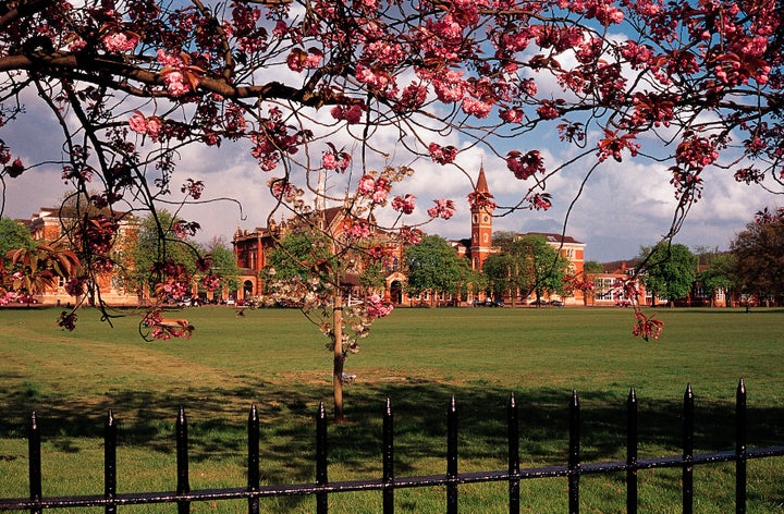 Blossom on trees framing Dulwich college, Dulwich.