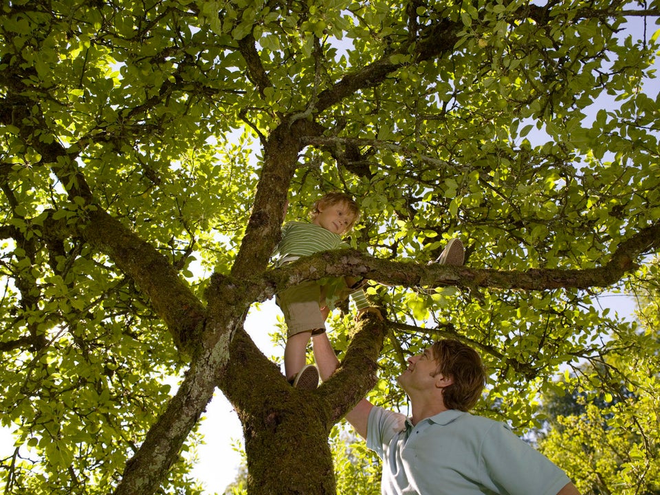 Climb a tree