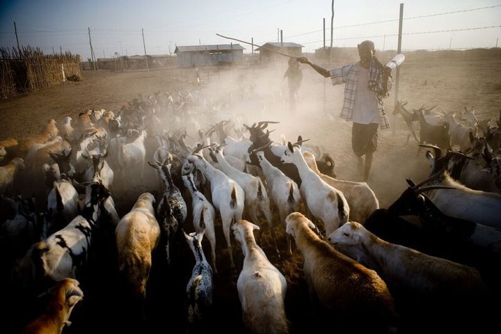 SAPARM helps traditional pastoralists in Ethiopia find greener pasture with satellite maps.