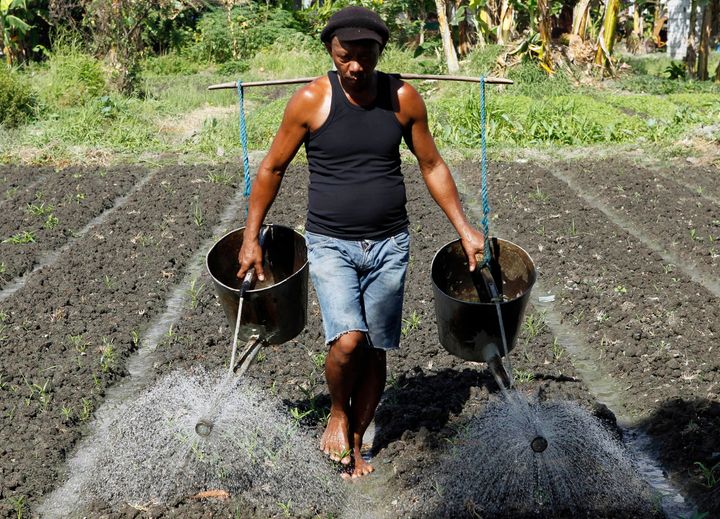 A beneficiary of government's Conditional Cash Transfer program waters vegetable seedlings in his garden in Pateros, Metro Manila April 30, 2012. Through the Pantawid Pamilya (Family Subsistence) programme in the Philippines, about 3 million poor households get small grants from the government if they take their children to health centres regularly and keep them in school.