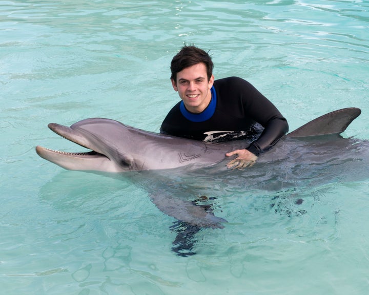 Vancouver Aquarium beluga on 'breeding loan' to Florida SeaWorld