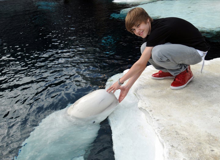 Justin Bieber poses with Allua, a female beluga at SeaWorld San Diego, in 2010.