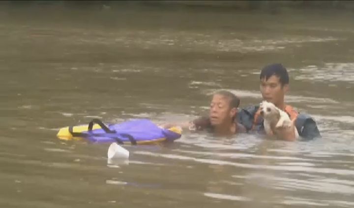 A woman and her dog are seen moments after they were pulled from a sinking car by this man in Baton Rouge.