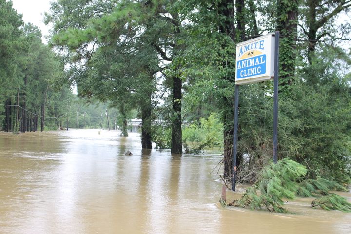 Floodwaters are seen in Amite, Louisiana.