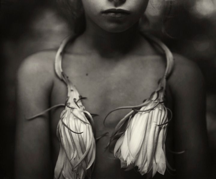 Sally Mann, Night-blooming Cereus, 1988, from Immediate Family by Sally Mann (Aperture, 2014)