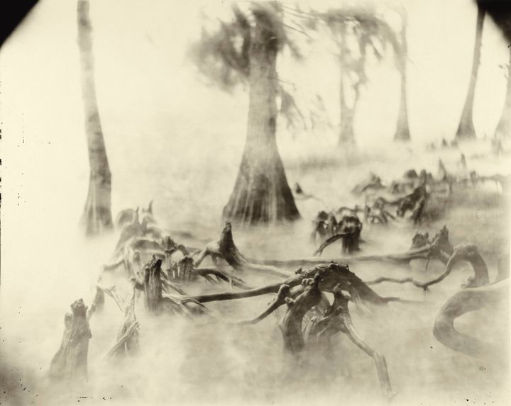 Swamp Bones, Deep South, DS, pa 69.JPG; Credit: Sally Mann; The photo was included in Sally’s photo book “Deep South”; From Hold Still: A Memoir with Photographs by Sally Mann