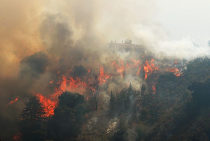 Flames climb Williams Canyon during the Soberanes Fire near Carmel Valley, California, July 29, 2016.