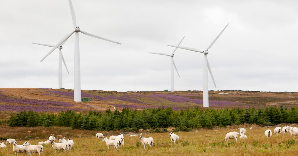 Источники энергии животных. Альтернативные источники энергии. Мельница энергия ветра. Ветрогенераторы energy wind. Renewable energy sources.