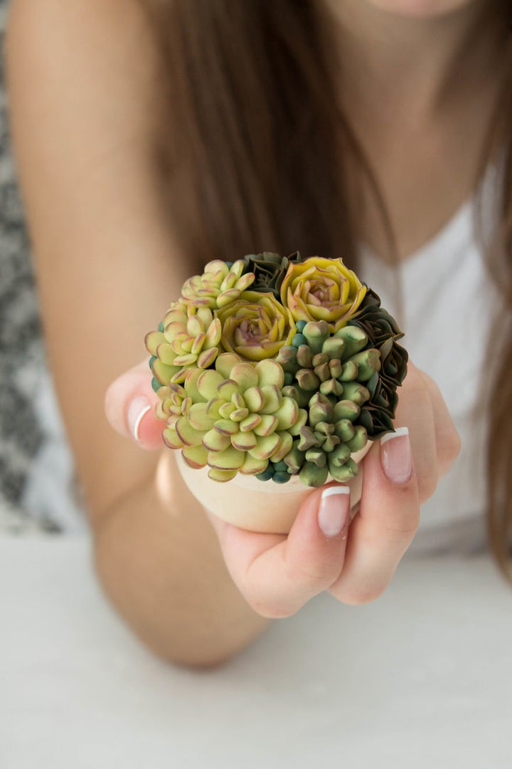 Succulent ring boxes provide the prettiest way to propose.