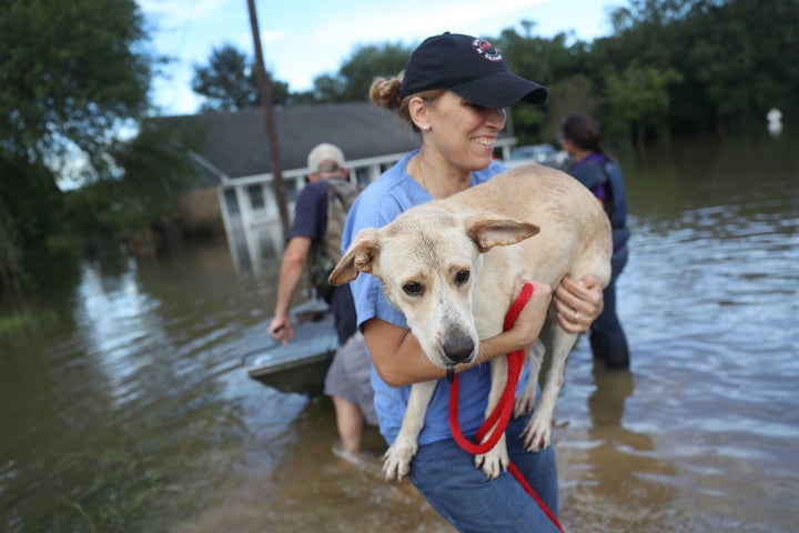 Ann Chapman from the Louisiana State Animal Response Team carries a dog she helped rescue from flood waters on August 15.