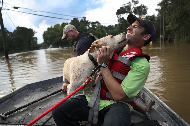 Mark Buchert from the Louisiana State Animal Response Team gets a lick from a dog he helped rescue from flood waters on August 15.