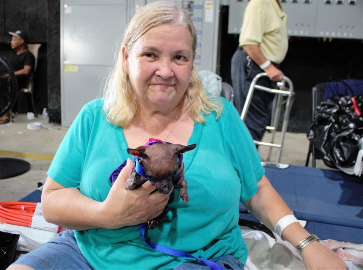 Emily Henderson, at Celtic Studios on Mayfair Drive in Baton Rouge, a temporary shelter.