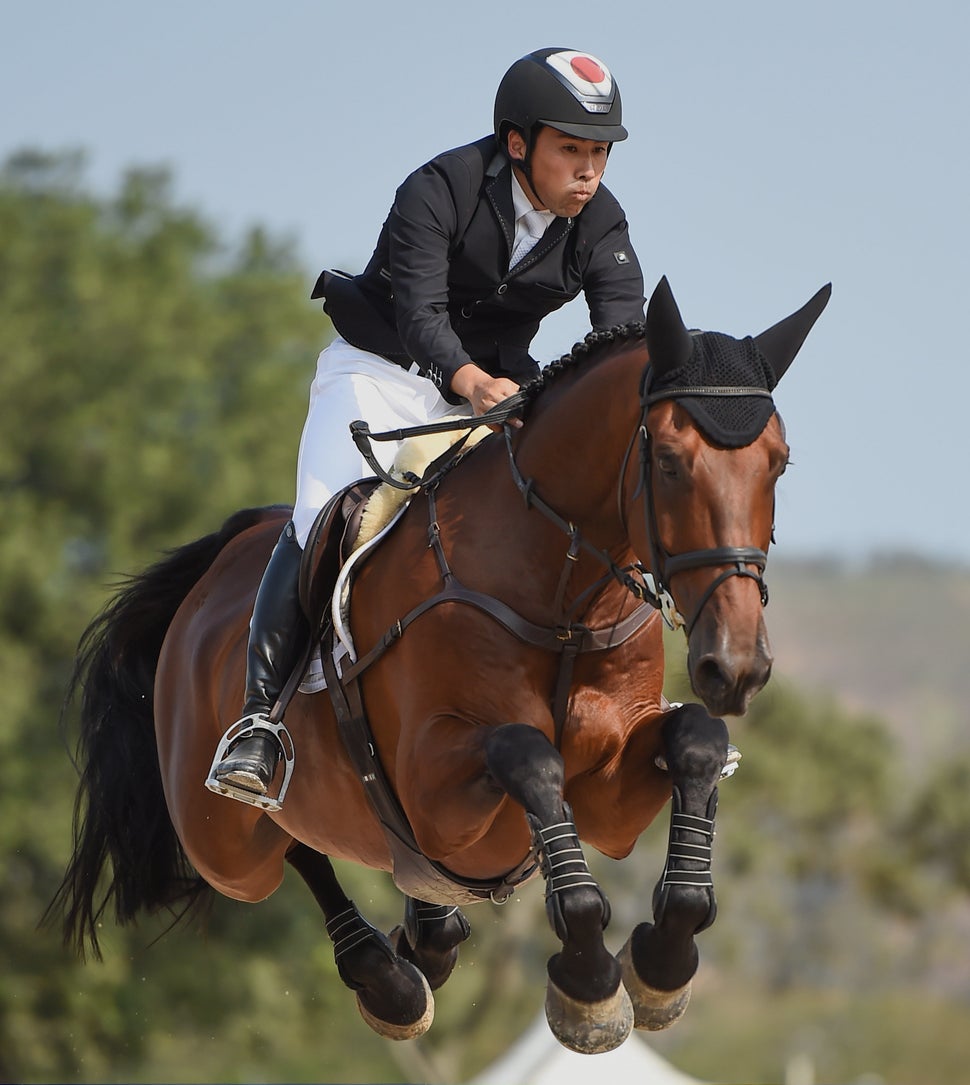Flying Horses Are Real, And These Photos Prove It HuffPost