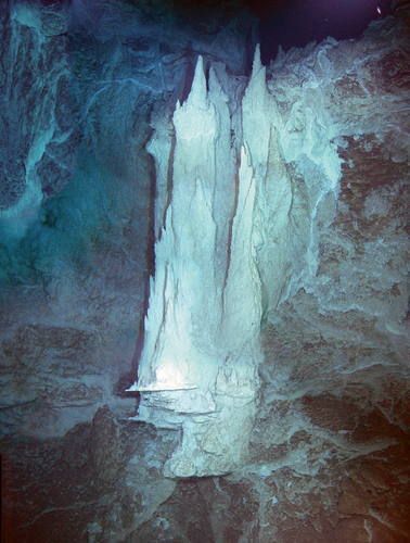 This three-story-tall carbonate tower protrudes from a much larger edifice in the Lost City Hydrothermal Field. 