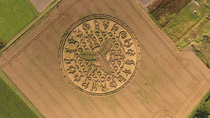 <strong>It is 100m wide and covers two acres </strong>