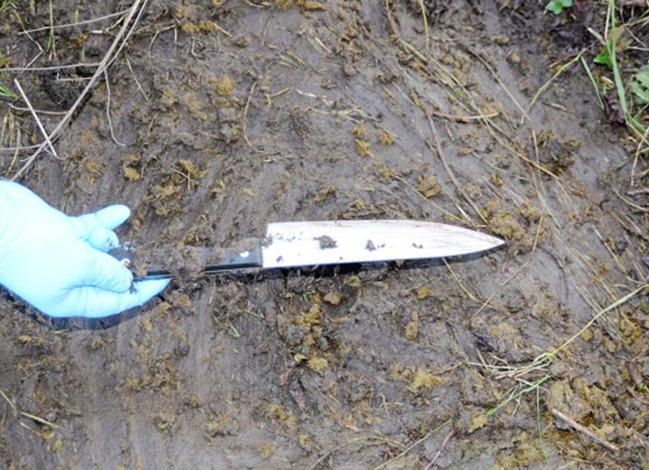 The knife used by Sarah Williams to murder Sadie Hartley 