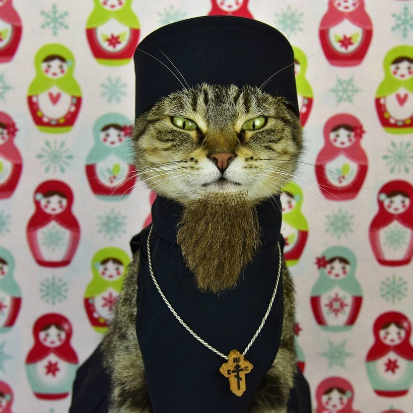 "Cat-sputin"