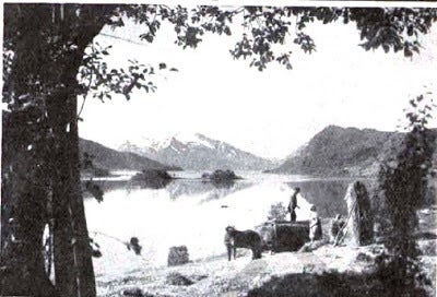 The view from Larsen's farm in <i><strong>The Strongest</strong></i>