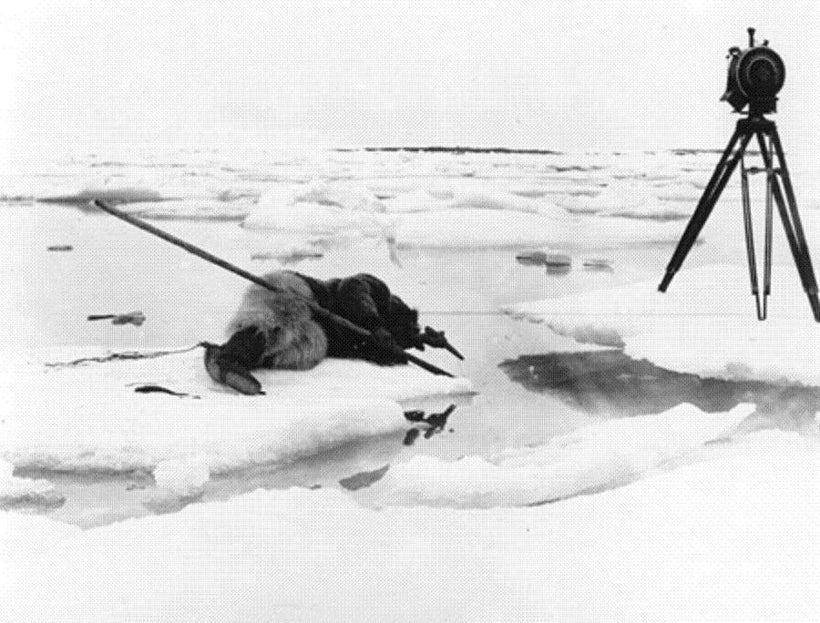 Filming a seal killing for <strong><i>Nanook of the North</i></strong>