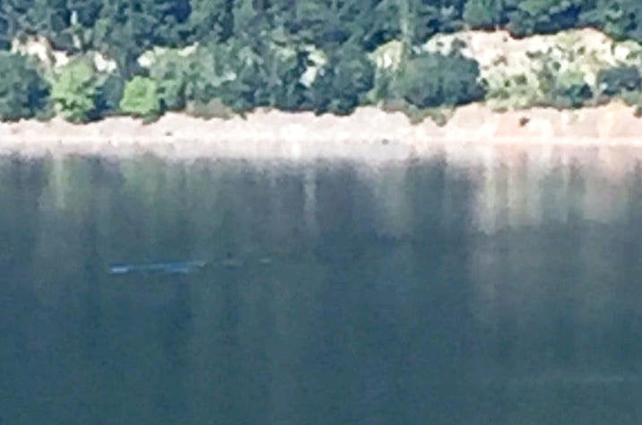 Calley Tulluth took this image, which she is certain is the Loch Ness Monster streaking across the water 