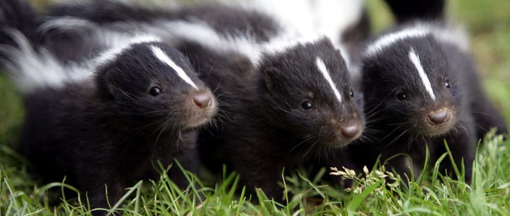 "Hey. Don't antagonize us."