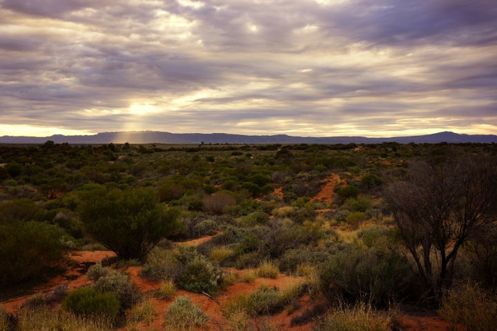 Flinders Ranges only get around 10 inches of rain a year and the region is prone to earthquakes.