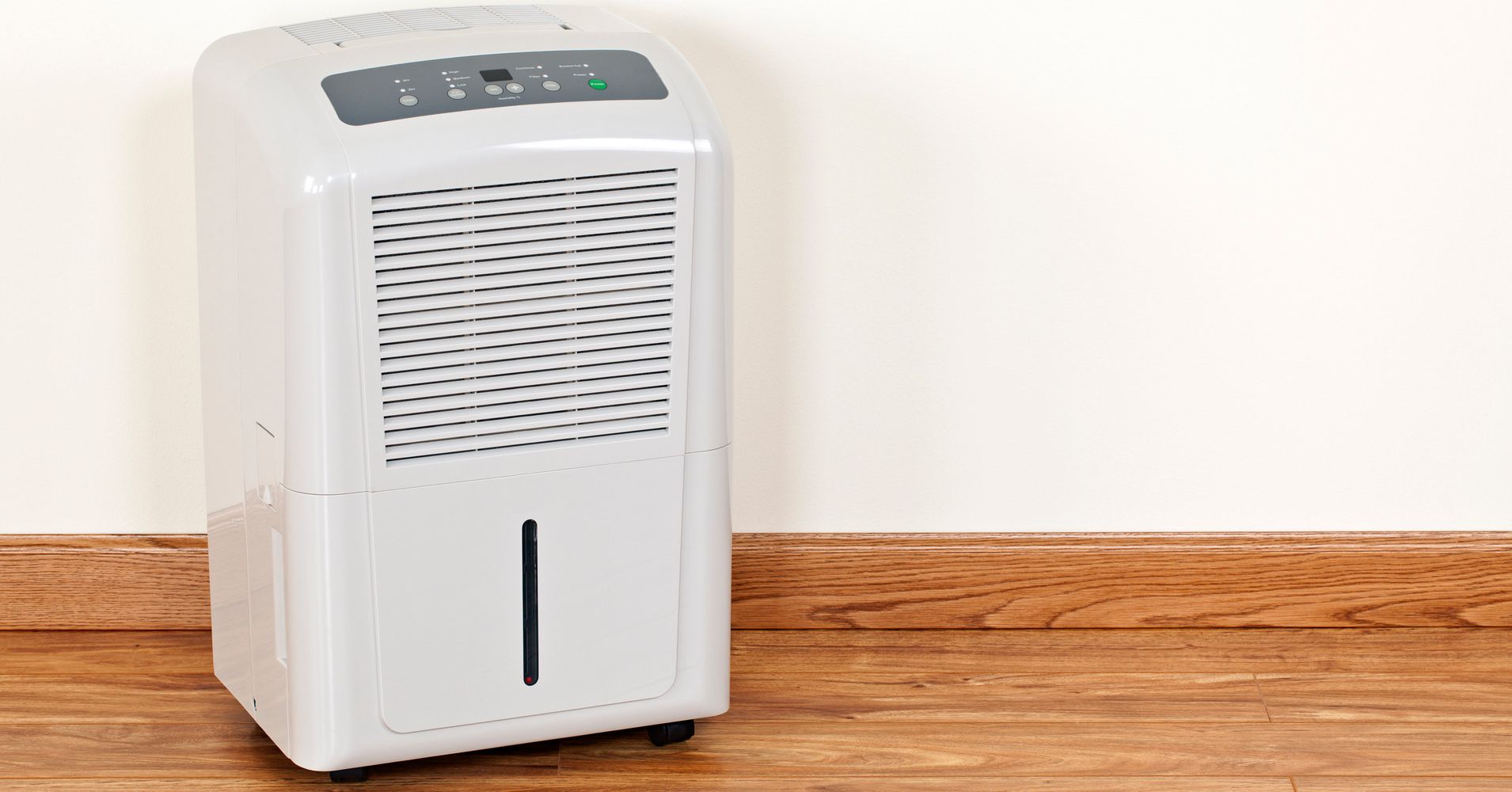 Find A Dehumidifier For Living Room