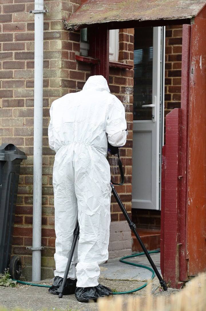 <strong>The dog has been seized by police and is in kennels while the attack is investigated </strong>