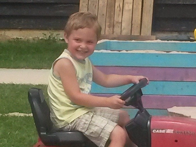 <strong>Dexter Neal was killed in a dog attack in Halstead, Essex </strong>