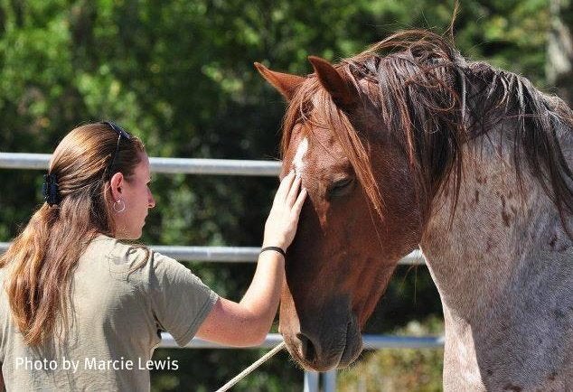 One of the first times I touched Aries, September 2011