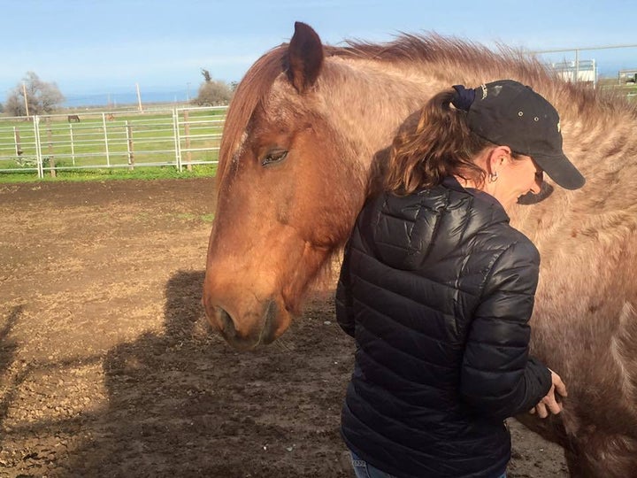 Aries coming in for some scratches. January 2016