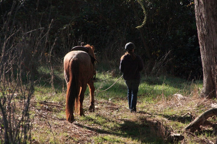 Walking through the forest. November 2011