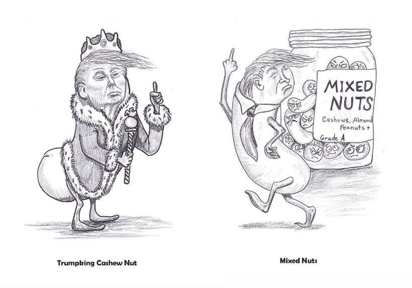 From a Nut Dressed as an Emperor to a Mixed Up Nut<br>from the book: <i>Trump Is a Nut!</i>