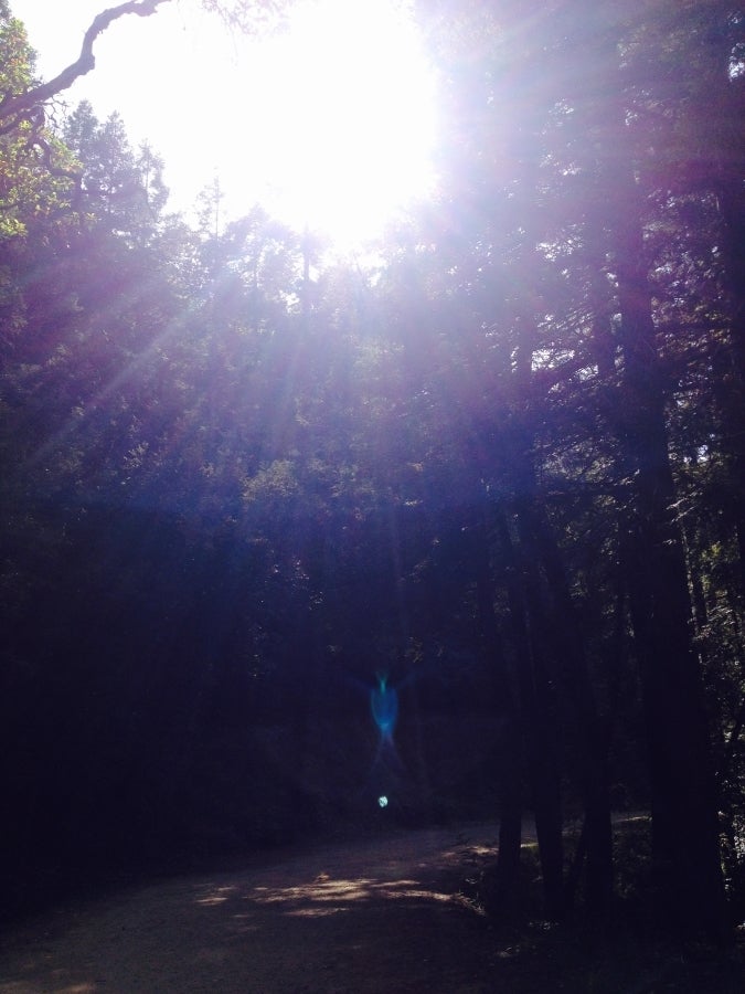 Original "Blue Angel" photo #2 - May 16, 2015
(#NoFilter)
