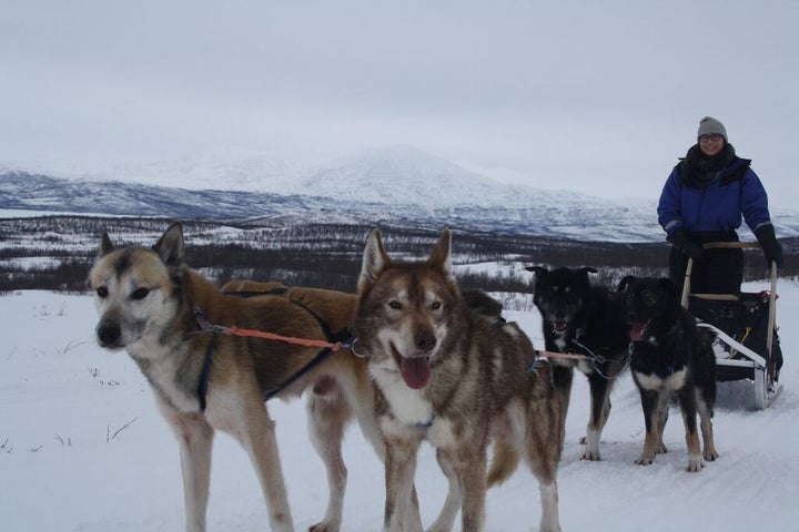 Or maybe I treat myself to a dogsledding trip in Abisko, Sweden. Priorities, right?