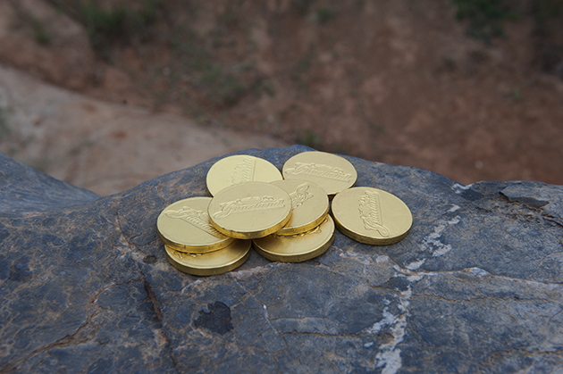 Chocolate coins from the Graceland gift shop.