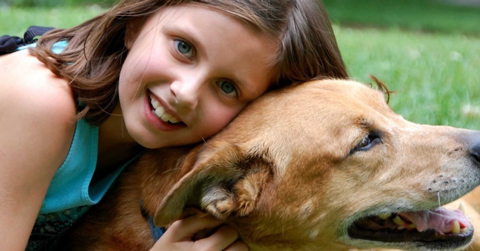 Saying Goodbye To A Pet | HuffPost