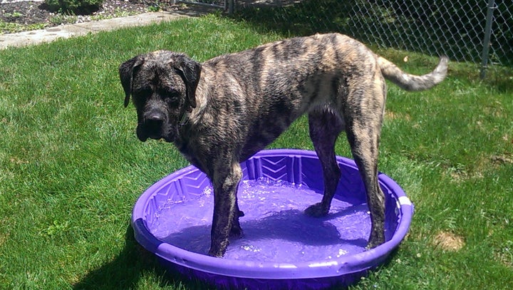 Having fun at home in his kiddie pool