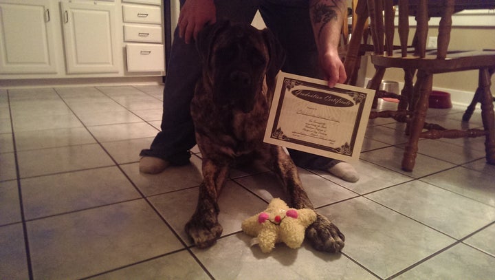 Graduating from his first obedience class