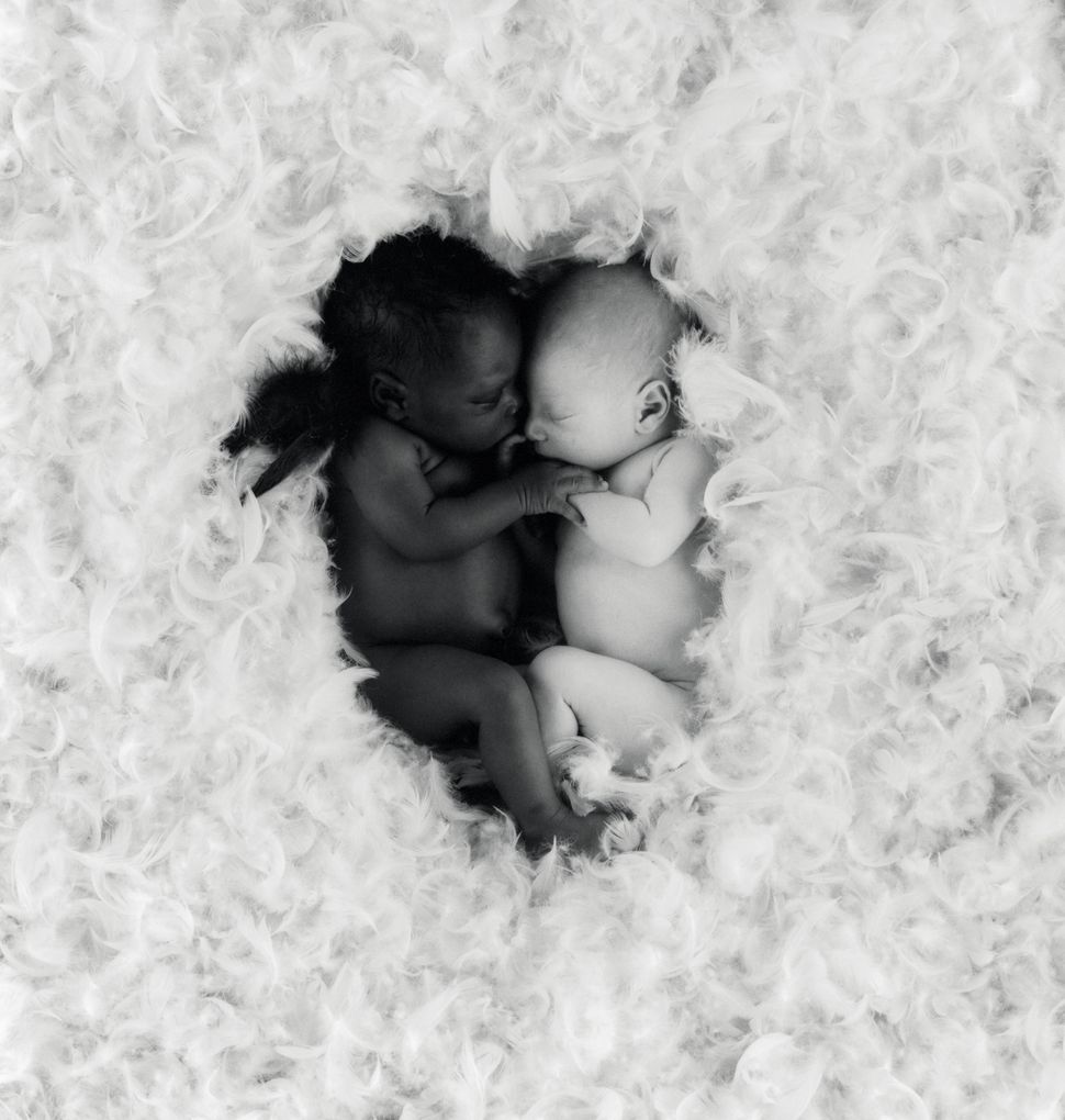 Anne geddes фотографии