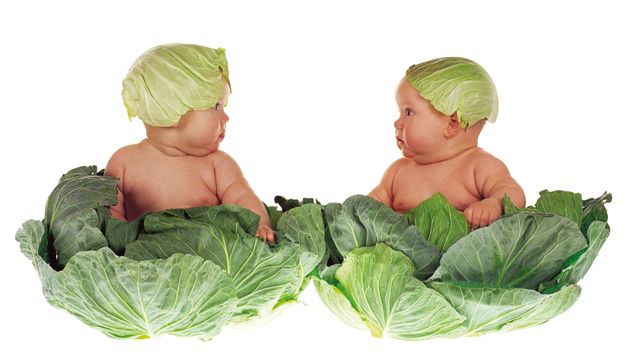 Anne Geddes The Photographer Who Put Babies In Flower Pots Is Still Making Art Huffpost