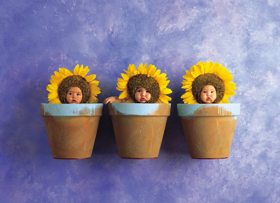 Anne Geddes, The Photographer Who Put Babies In Flower Pots, Is