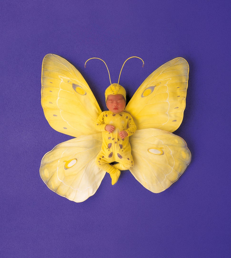 Anne Geddes The Photographer Who Put Babies In Flower Pots Is Still Anne Geddes The Photographer Who Put Babies In Flower Pots Is Still