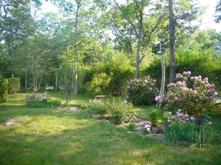 Springtime garden