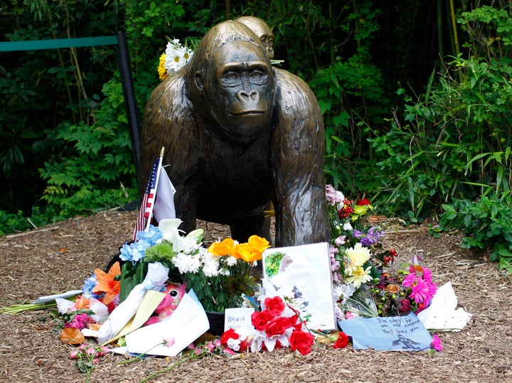 Flowers lie around a statue at the Cincinnati Zoo days after officials had to shoot Harambe, a 17-year-ol
