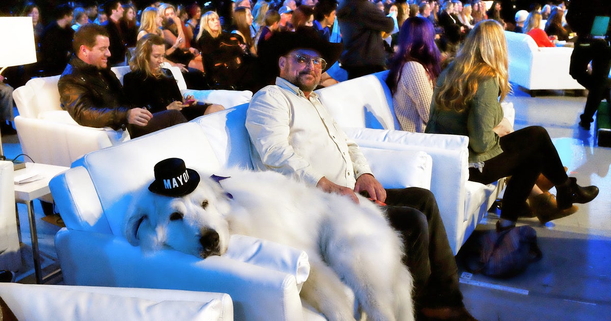 Dog Elected Mayor Of Cormorant, Minnesota Again HuffPost World