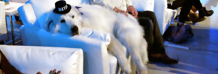 Duke, the mayor of Cormorant, Minnesota, just won reelection to a third consecutive term.