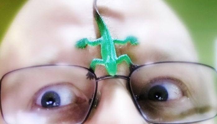 Lizard Interrogates 7 Trends Pushing Through the Insecurity and Ignorance of the Male ...